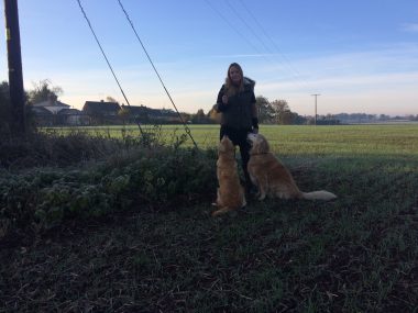 Park Lane Public Relations director Clare Fitzsimmons with her Golden Retrievers Honey and Maple at the exact spot the film of the 'Big Cat' was taken show the scale of the scene - the dogs were at least twice the height of the animal in the video footage.