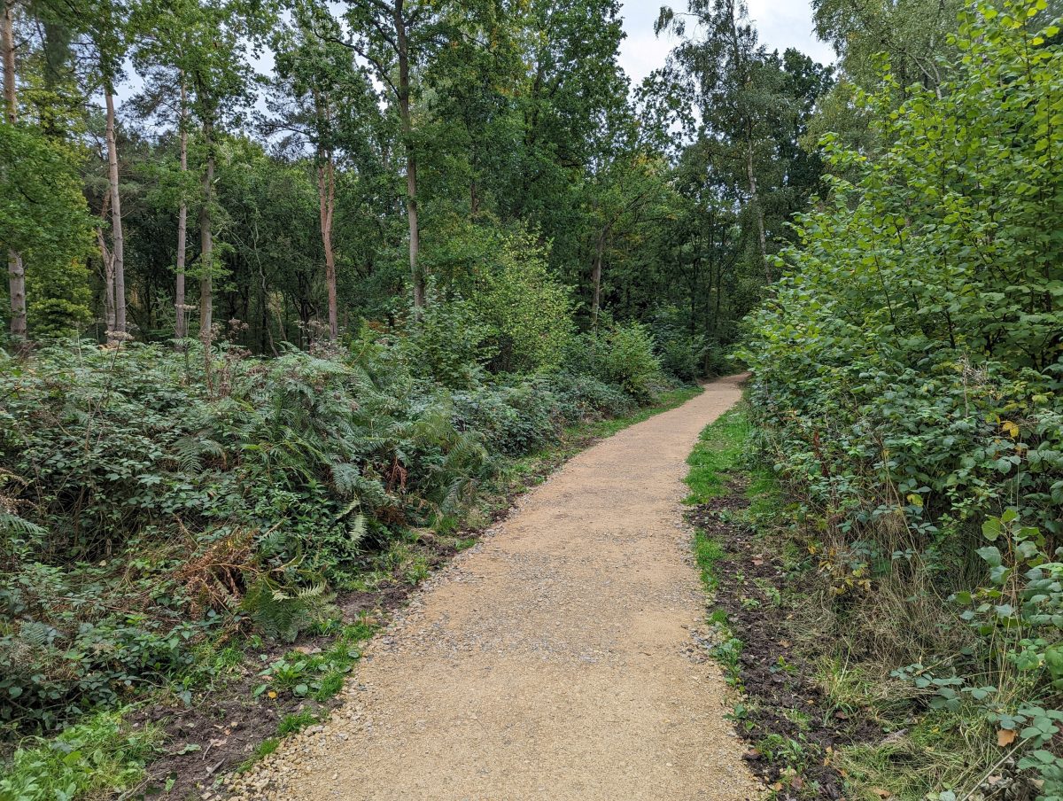 Walks at Wood now more accessible - Leamington Observer