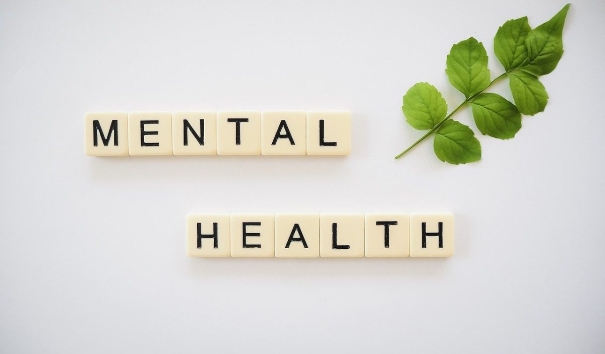 Effective and timely action vital for good mental health says MP - The ...